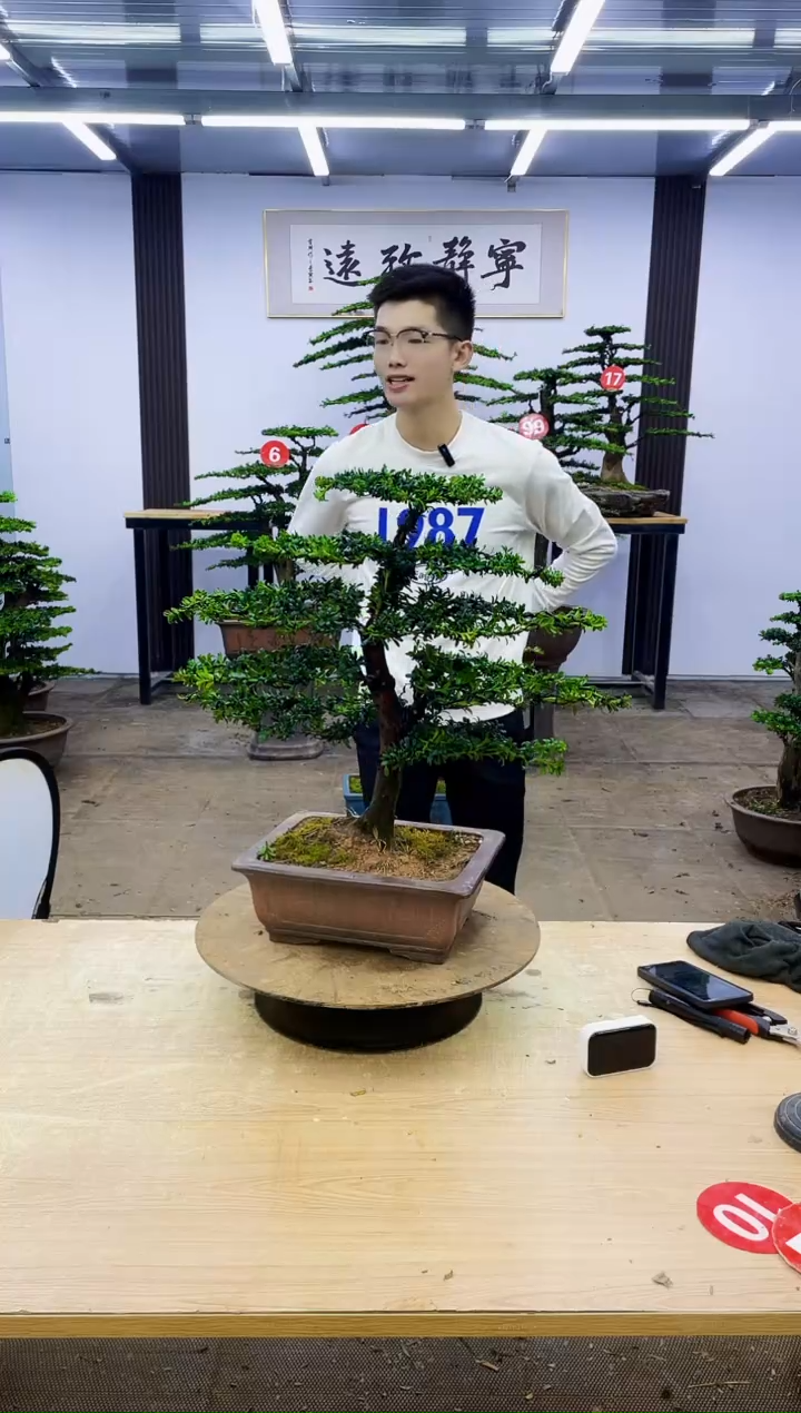 无花朵丁*权000000000000000000