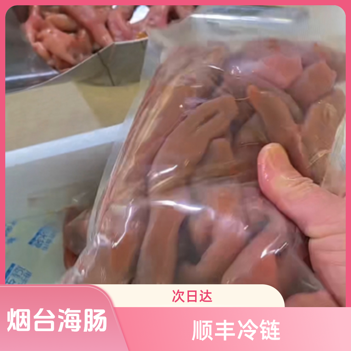 烟台新鲜海肠1.2斤肠皮（去内脏去两头）