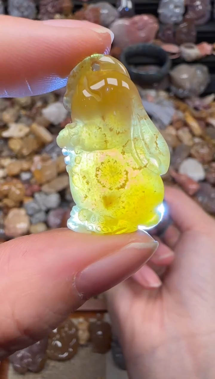 颈饰未镶嵌硅化珊瑚（珊瑚玉）153