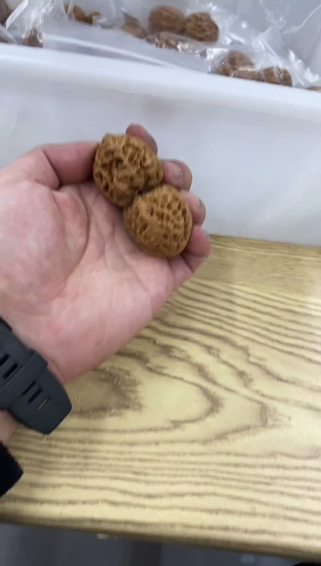 把件核桃#34343小众品种小平谷全品福利