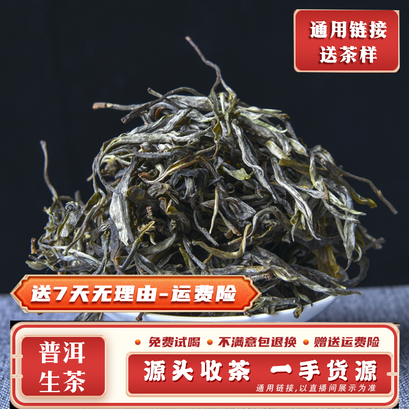 127号2024年大雪山豆腐寨混采生散茶500克（3月16日）