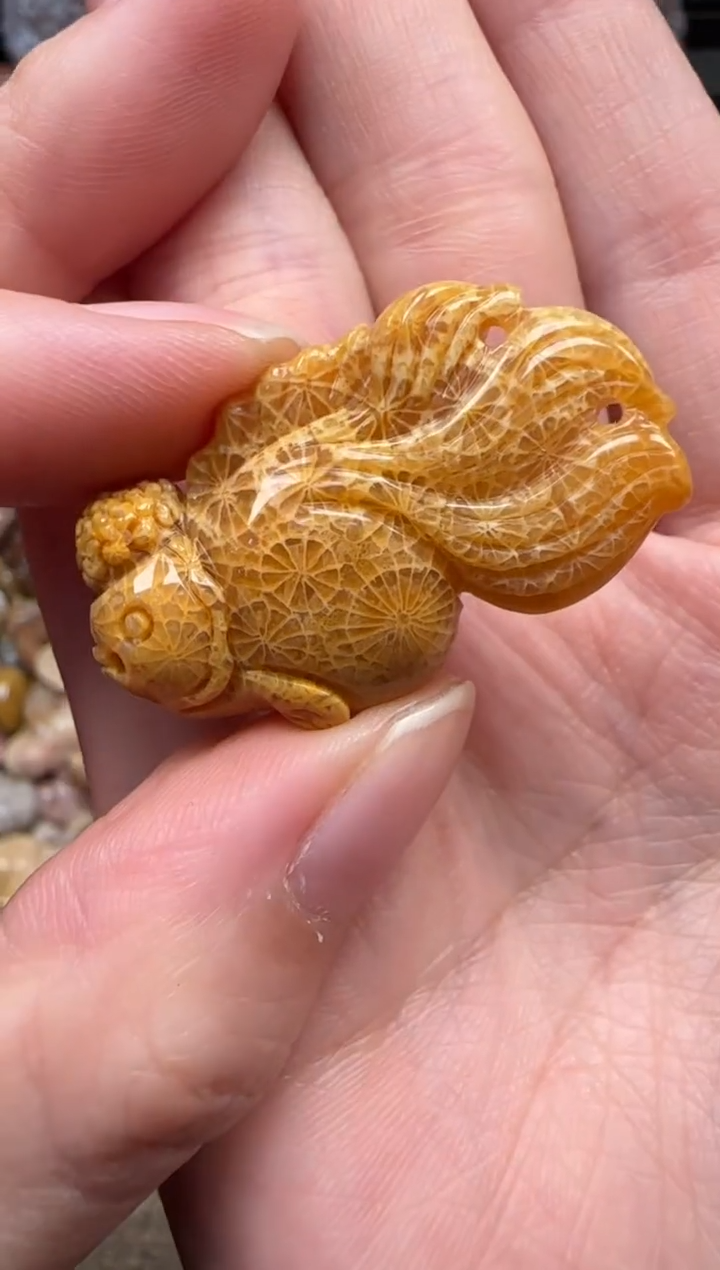 颈饰未镶嵌硅化珊瑚（珊瑚玉）399