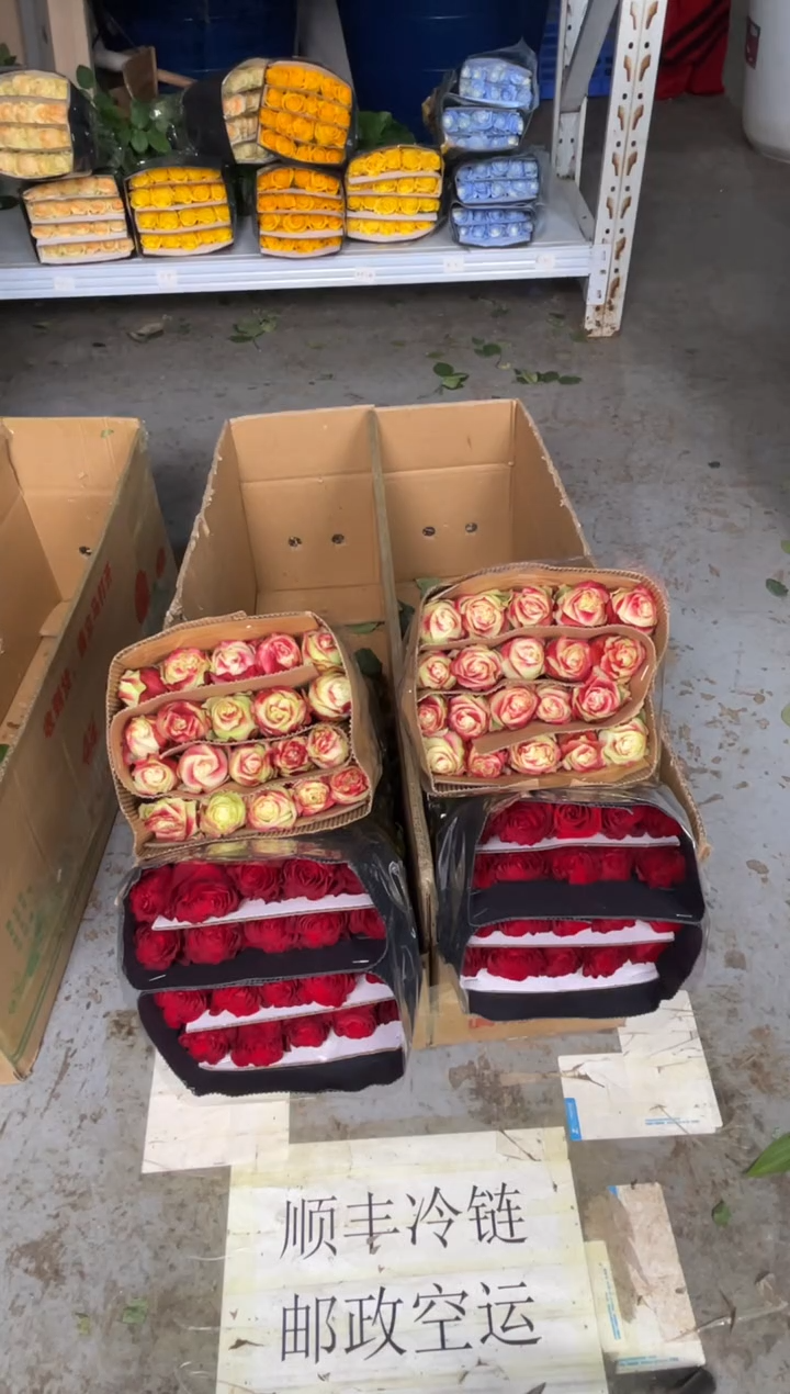 高原红20枝+苹果杰克20枝