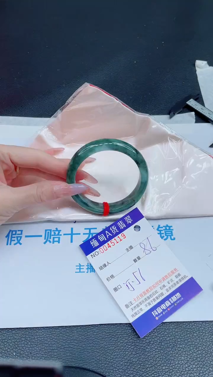 未镶嵌手镯翡翠0299502685