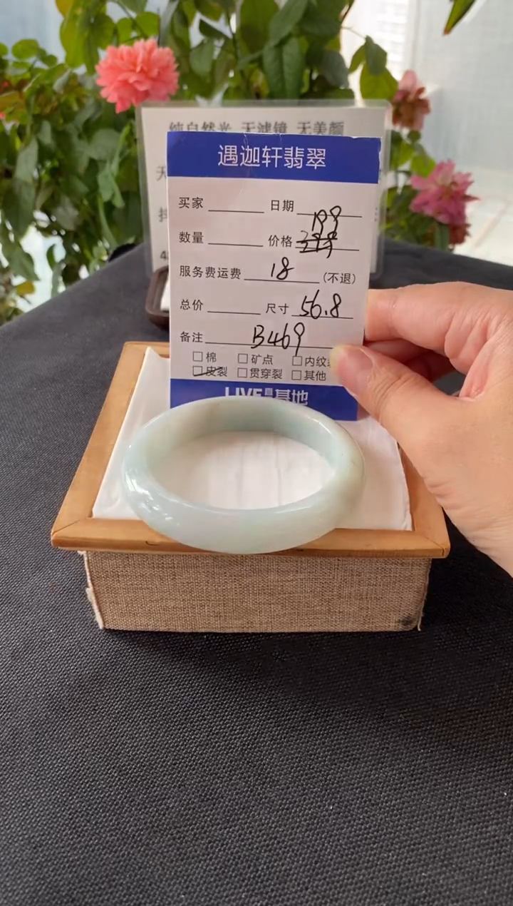 未镶嵌手镯翡翠56.8圈口 B469编码