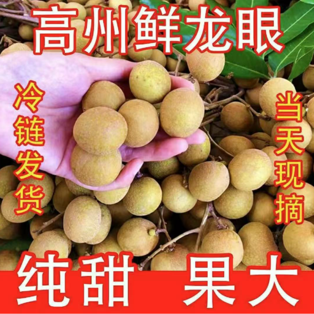 【顺丰包邮】广东茂名正宗储良龙眼新鲜现摘现发当季新鲜水果5斤