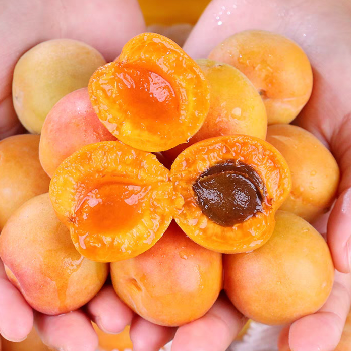 【次日达】正宗新疆空运吊干杏新鲜水果当季现摘奶皇杏子2.5斤浙江省