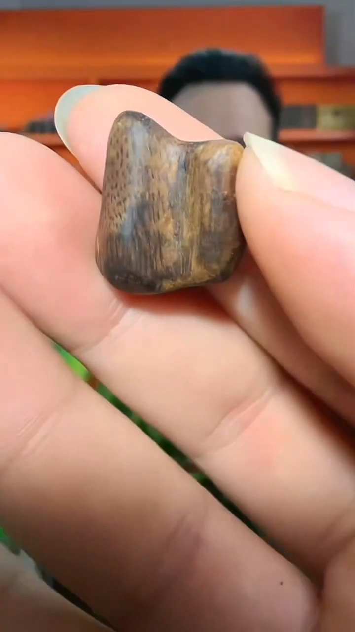 沉香吊坠14号瘤疤多样性发一