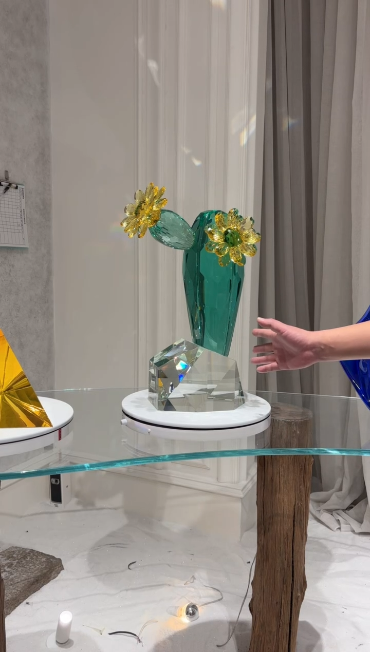 【闪购商品】摆件AJ05432仙人掌艺术摆件