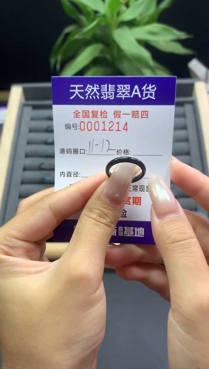 未镶嵌戒指翡翠天然  1214