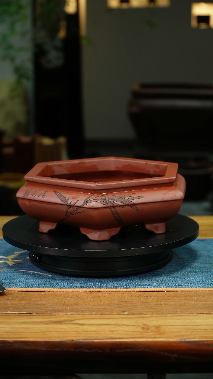 跳****界精品兰花微