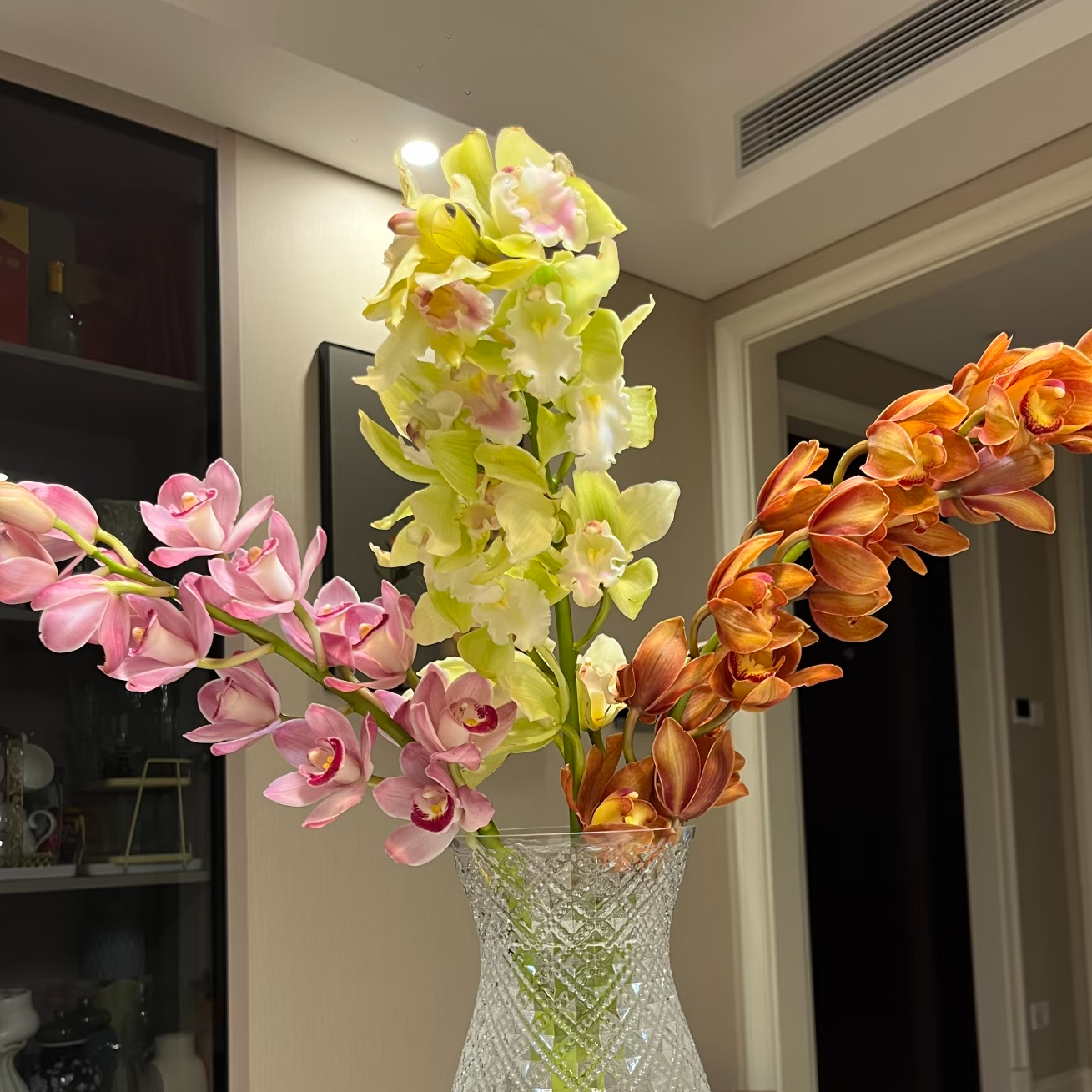 【买一送一】粉色、绿色、黄色大花蕙兰年宵花花期长 云南鲜花