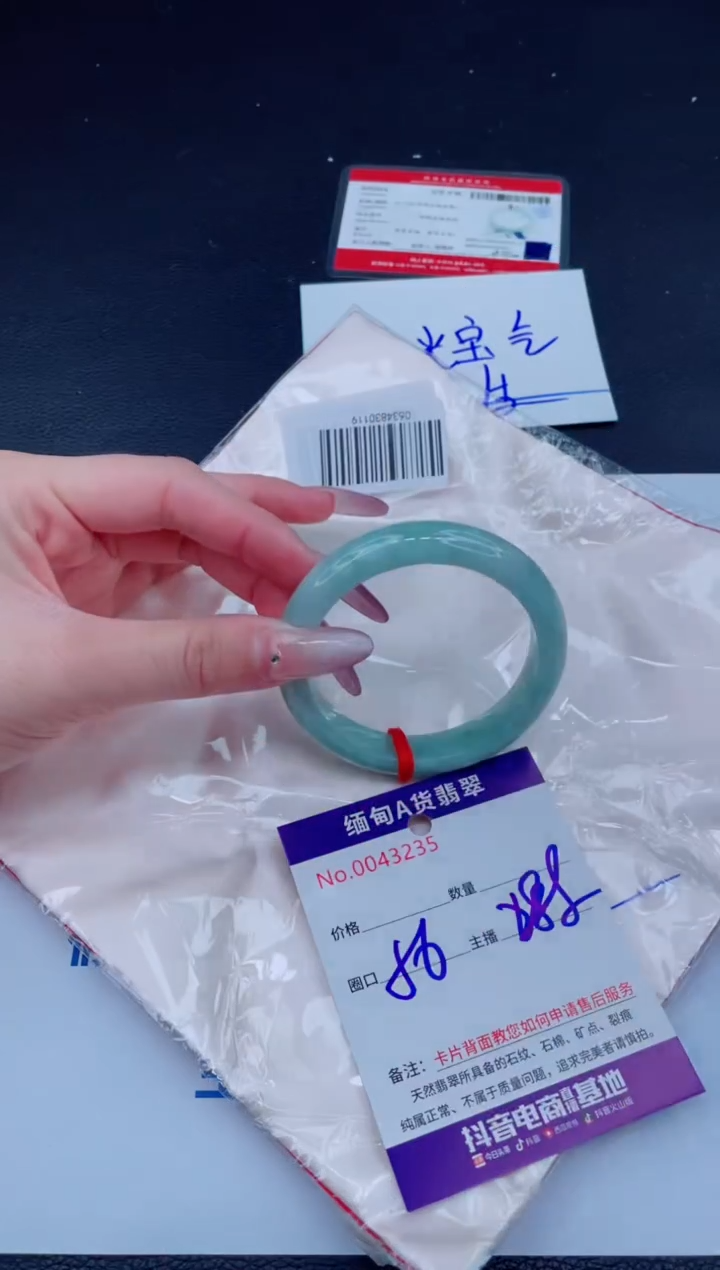 未镶嵌手镯翡翠288