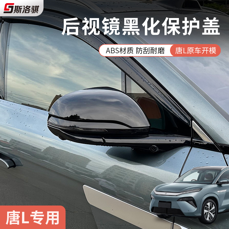 适用于比亚迪唐LDM/EV后视镜保护罩倒车镜盖耳朵全包防刮黑化改装