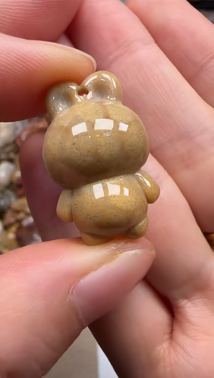 【闪购商品】硅化珊瑚（珊瑚玉）颈饰未镶嵌627