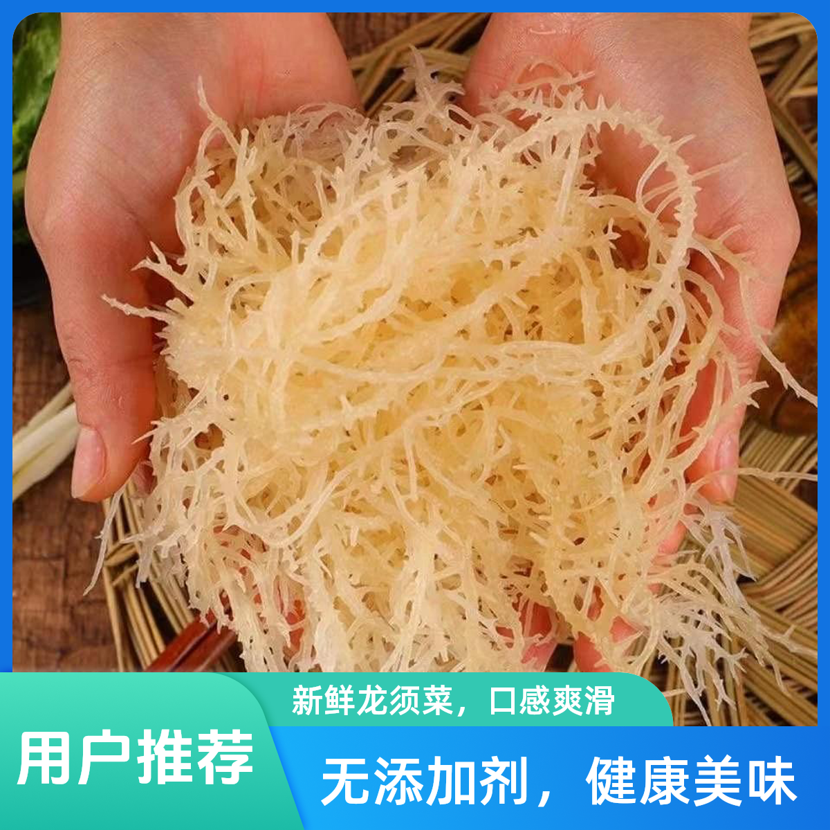正宗龙须菜长寿菜石花菜盐渍马尾藻海发菜海藻新鲜营养凉拌菜批发