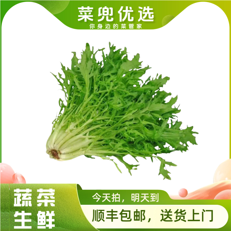 苦菊 250g±20g