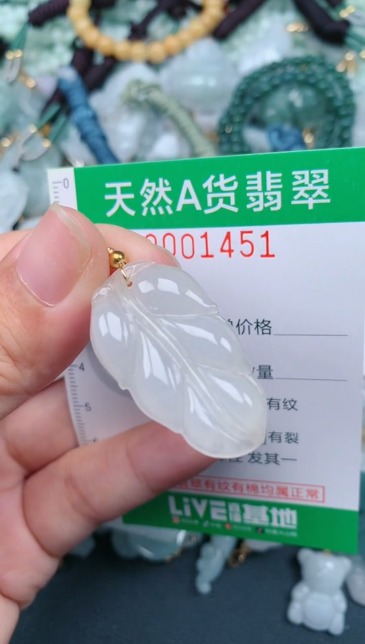 翡翠未镶嵌颈饰.0001451