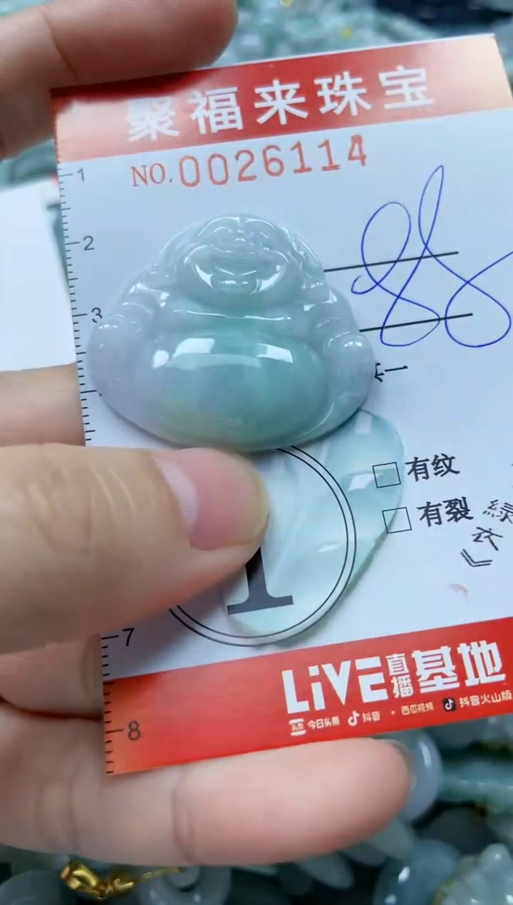 【闪购商品】翡翠颈饰未镶嵌闪购0026114