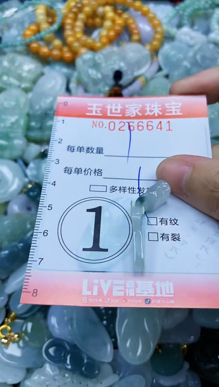 翡翠未镶嵌颈饰闪购0266641