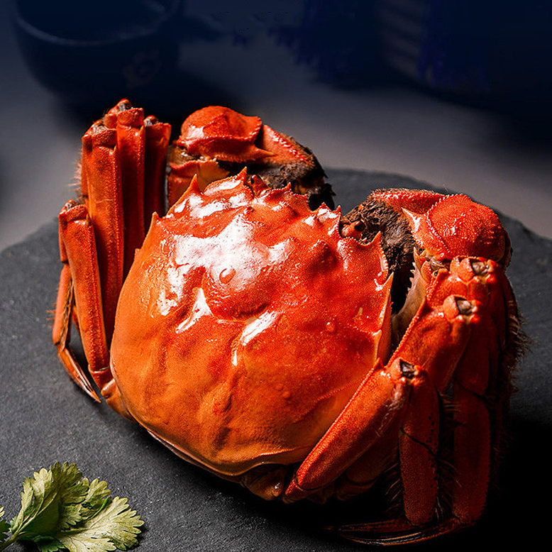 【活蟹】精挑大闸蟹母蟹3.5-3.2两共10只装鲜活冷链包邮HE