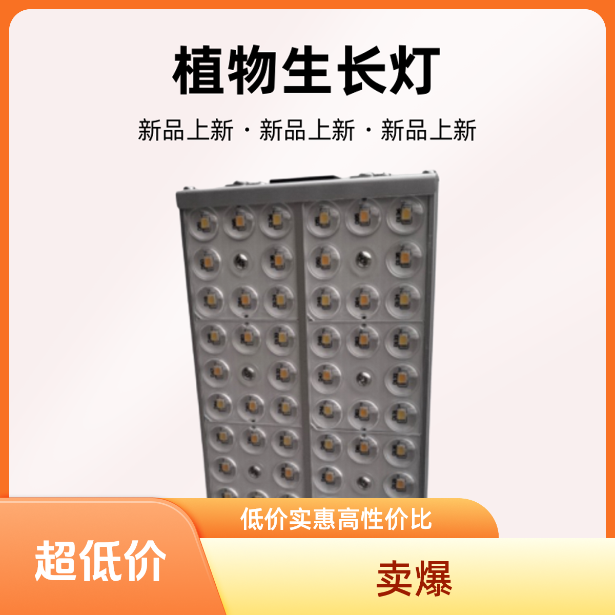 山地玫瑰专用生长补光上色灯聚光灯