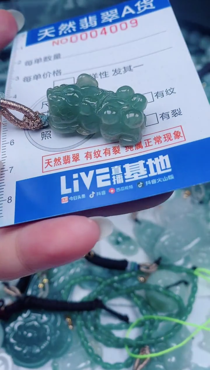 颈饰未镶嵌翡翠00004009