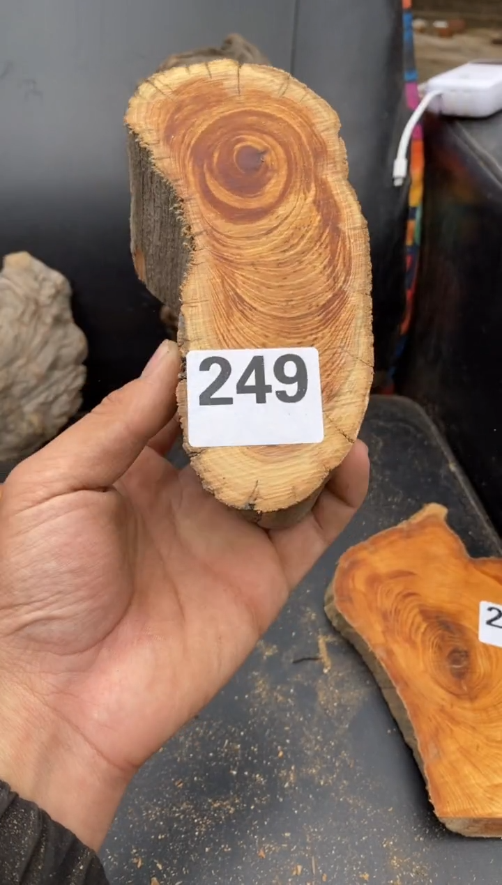 柏木（崖柏）太行陈化崖柏！随机（1单1片）249