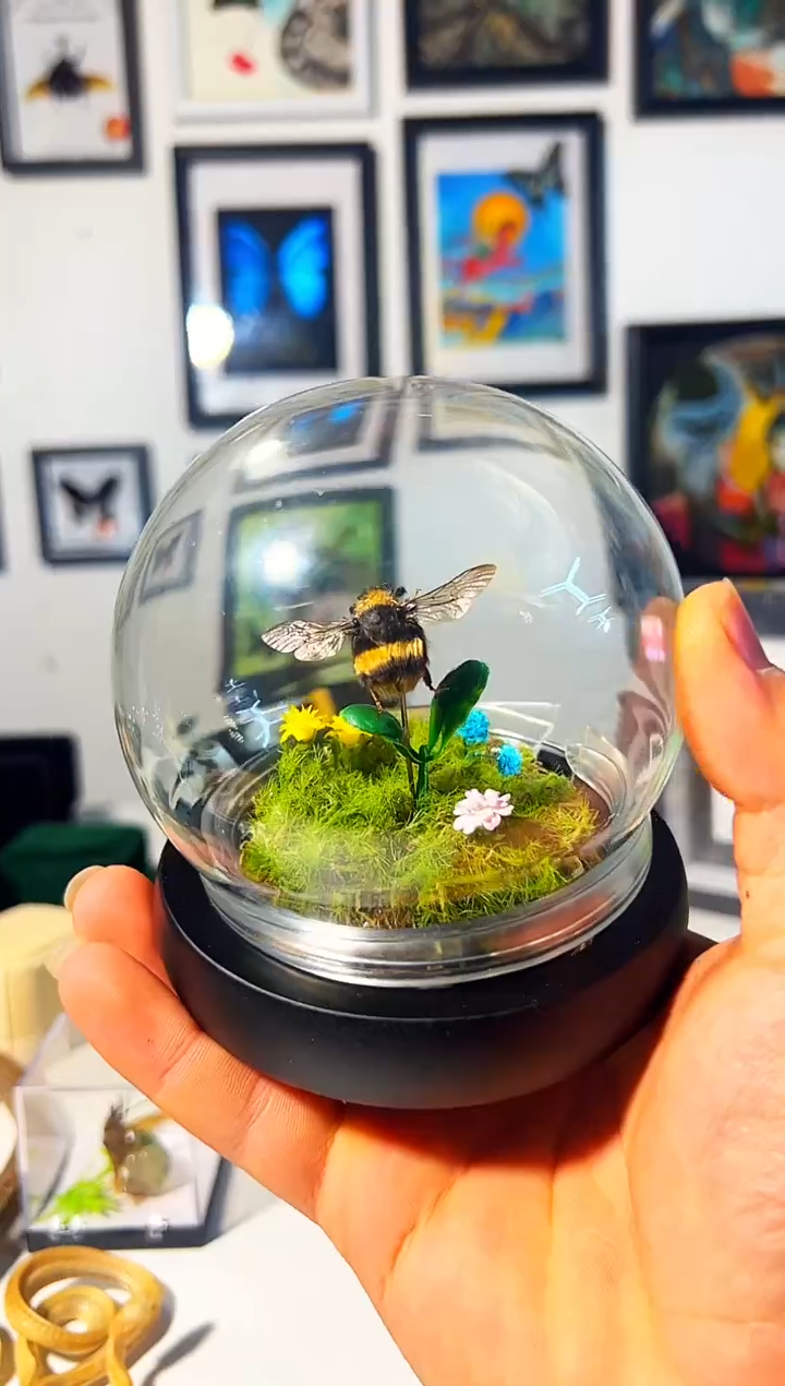 有机玻璃4546344638