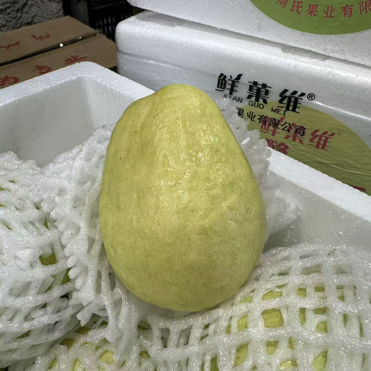 奶油芭乐 4斤/净果【赵姐果业】 