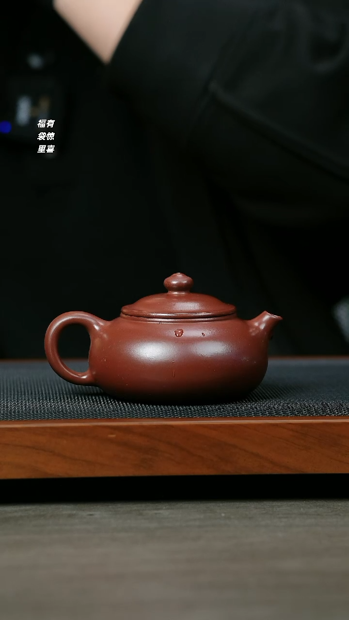 【闪购商品】紫砂茶壶H1326李传荣紫泥寒江