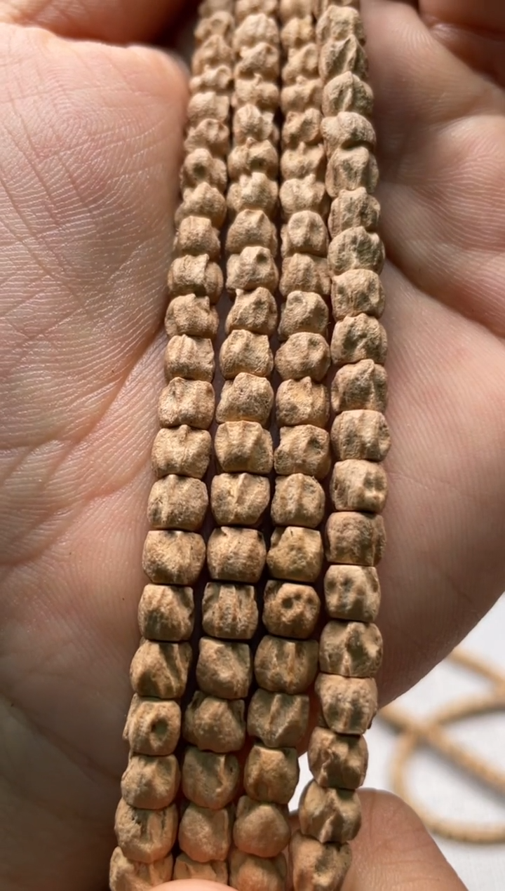 柏香籽/百香籽吊坠百香籽长串27