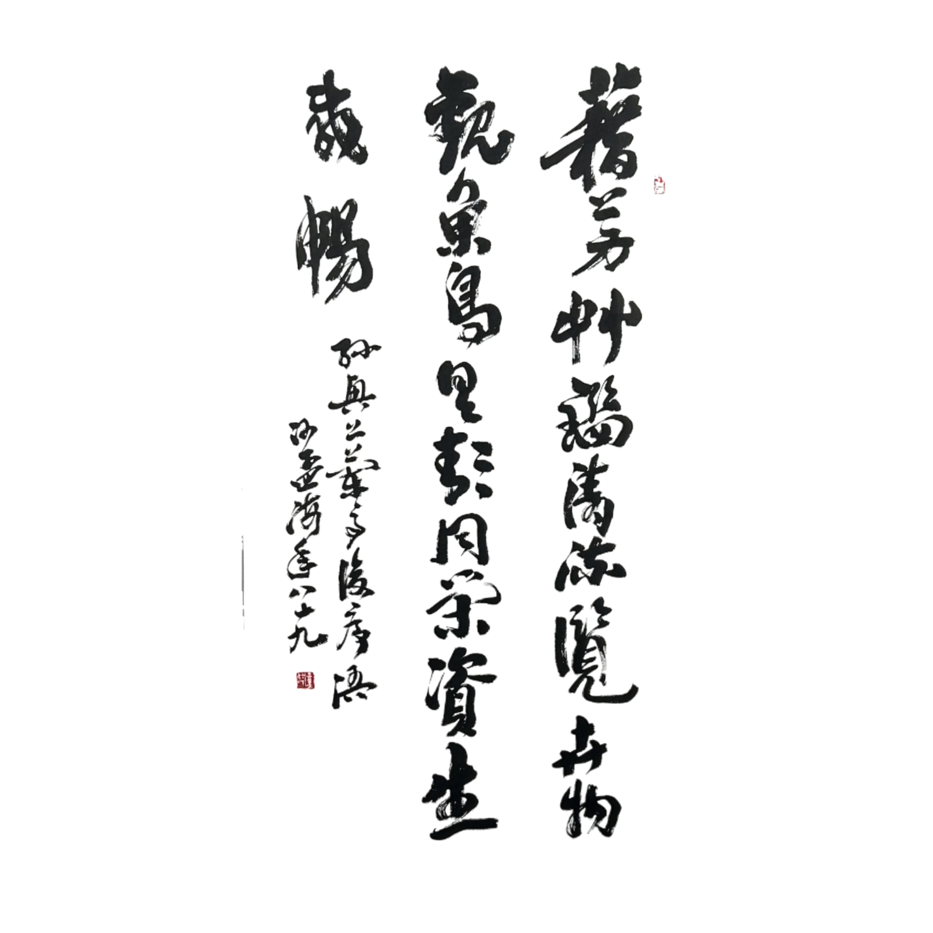 c81沙孟海书法软片尺寸69*138约9.5平尺