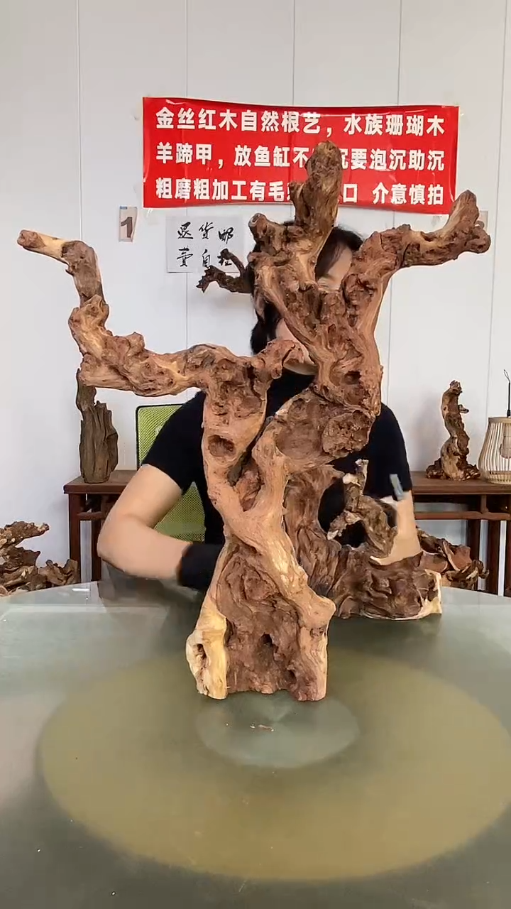 香榧木用****5金丝红木 羊蹄甲