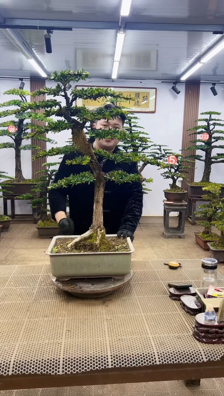 【闪购商品】000000000