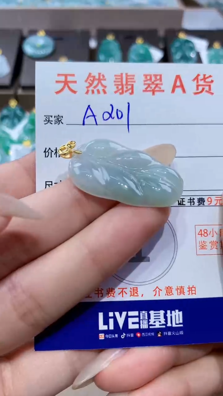 颈饰未镶嵌翡翠天然缅甸翡翠A货挂件 