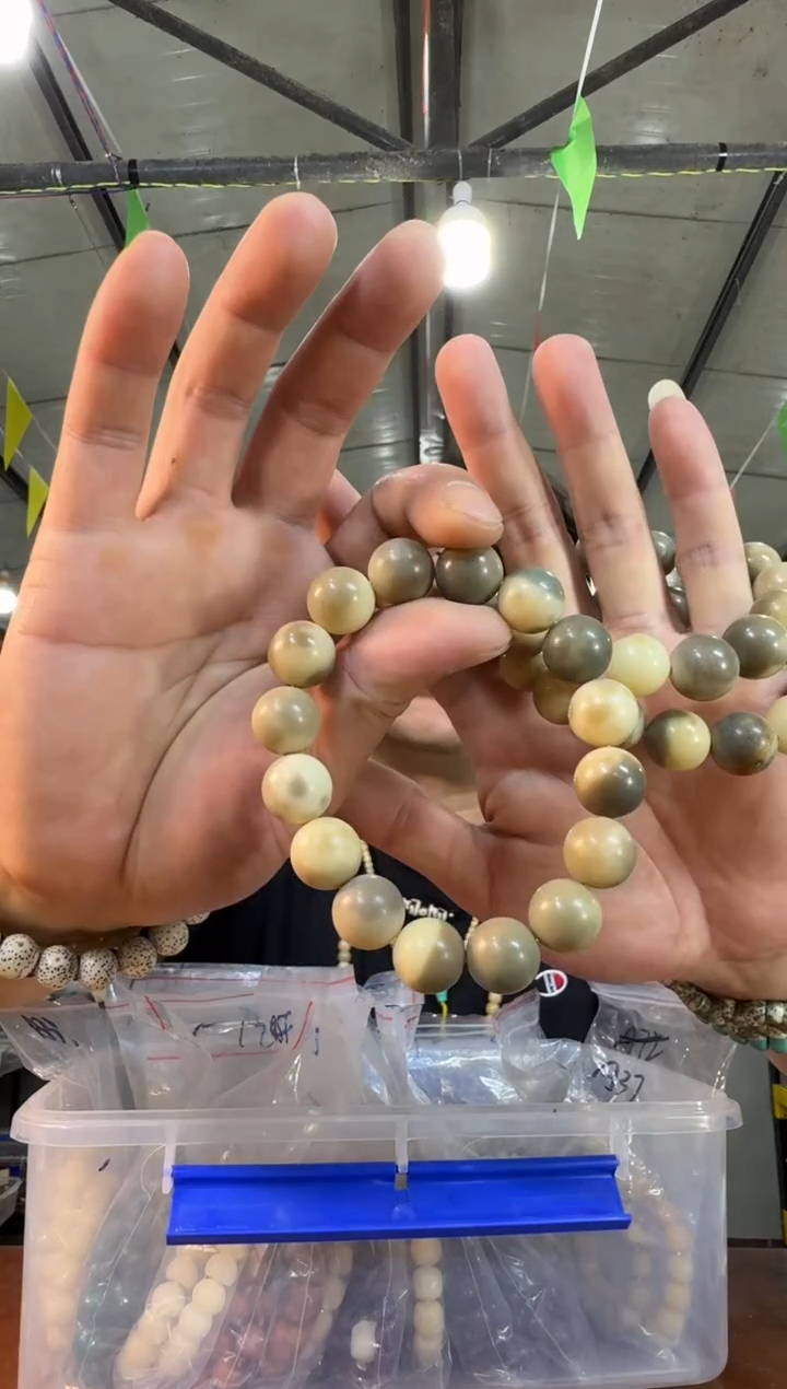 菩提根/象牙果手串A17实物为准