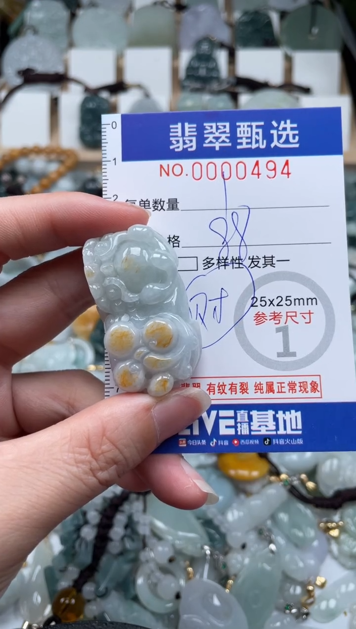 翡翠未镶嵌颈饰00..0494
