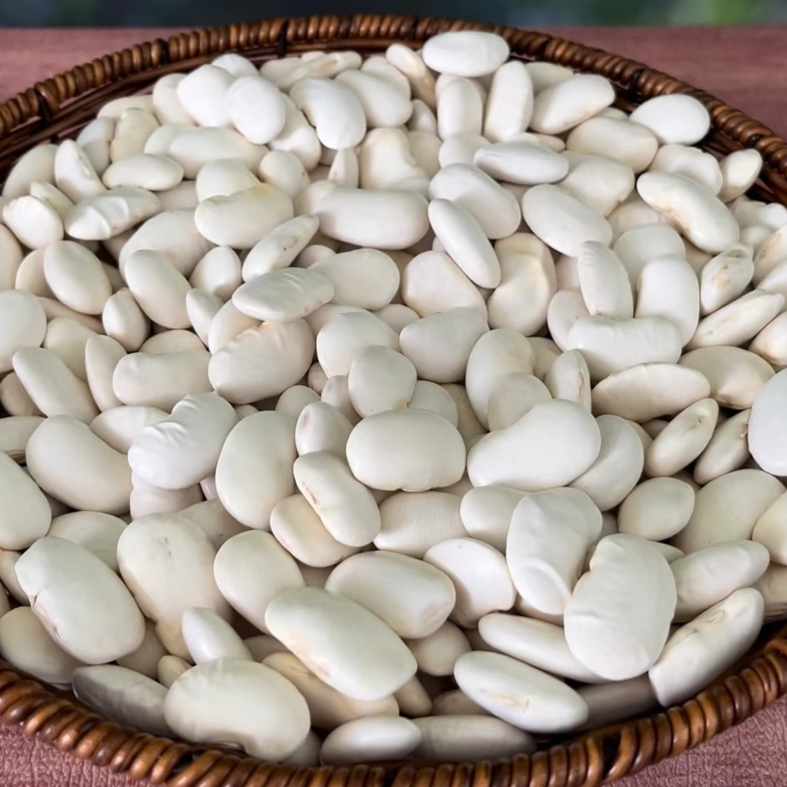 阿坝高海拔农家白芸豆