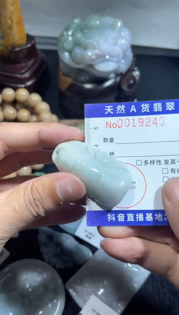 【闪购商品】翡翠颈饰未镶嵌00019240