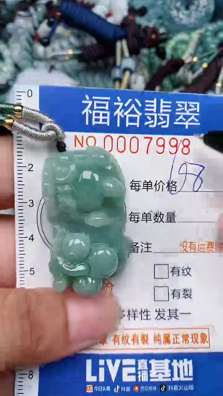 翡翠未镶嵌颈饰...0007998