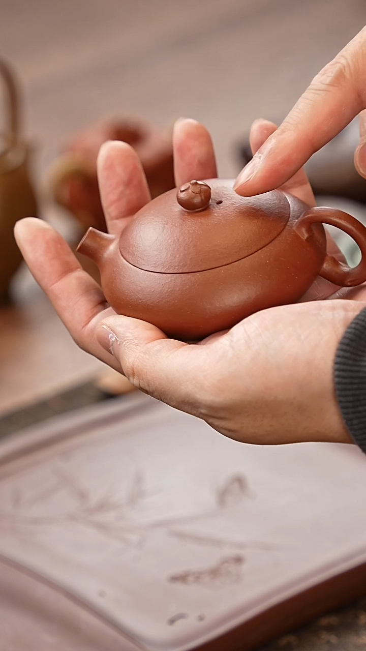 茶壶紫砂梅花西施降坡泥