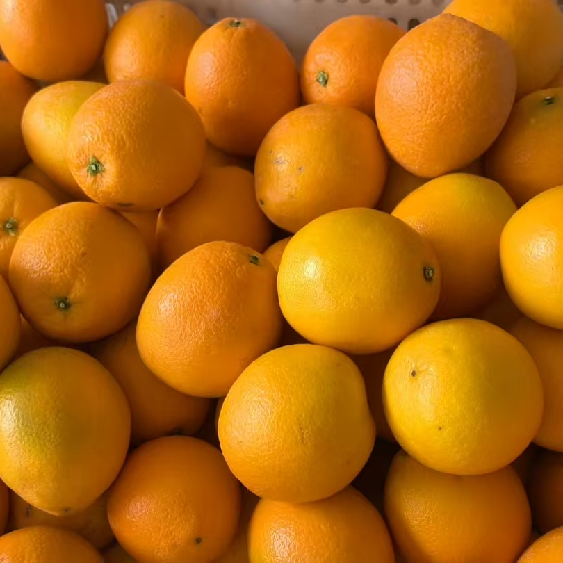 正宗赣南脐橙 京东快递