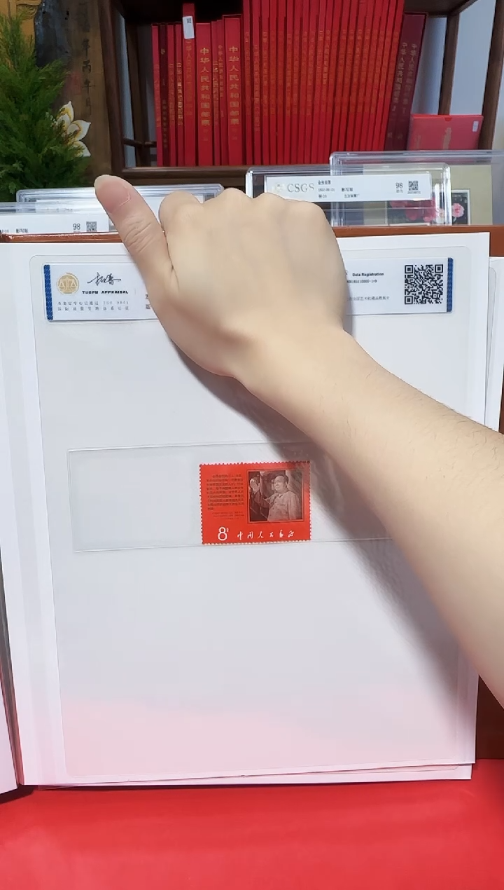 文9 封装评级鉴定收藏 