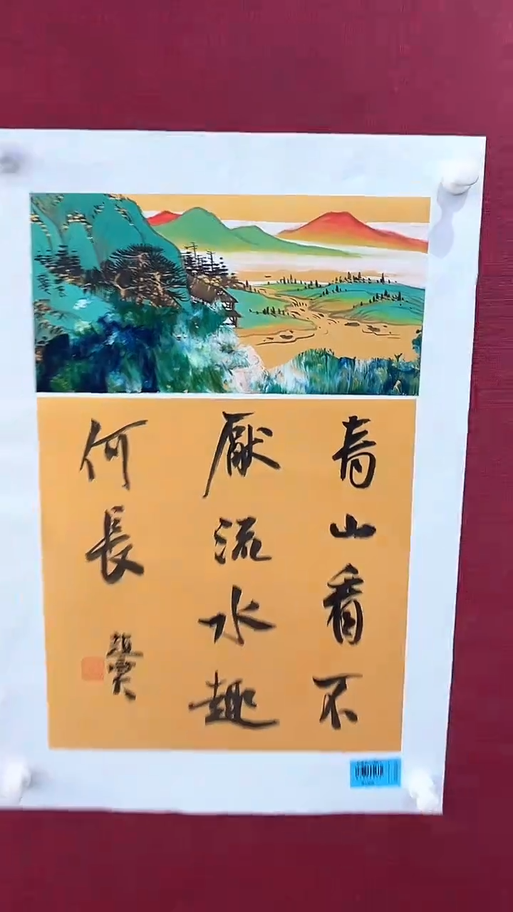 国画国画赵燮绘画抽象山水0.5pc+书法
