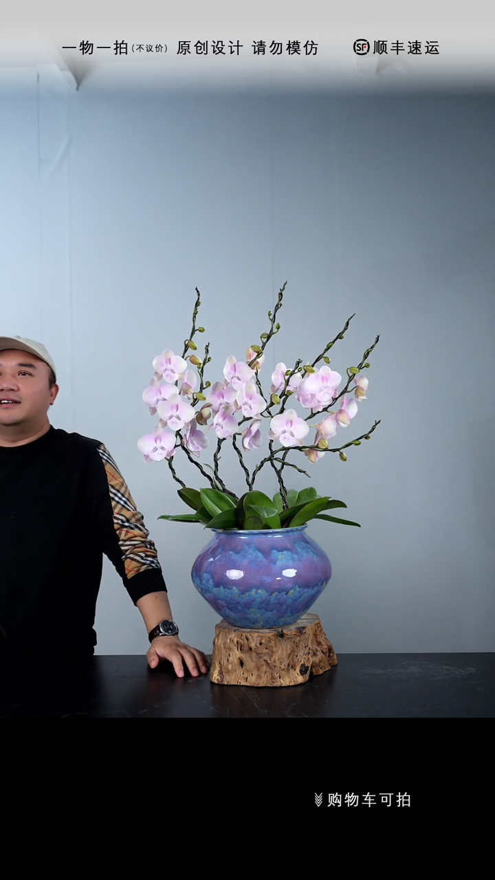 【闪购商品】038号链接【一物一拍】艺术盆景