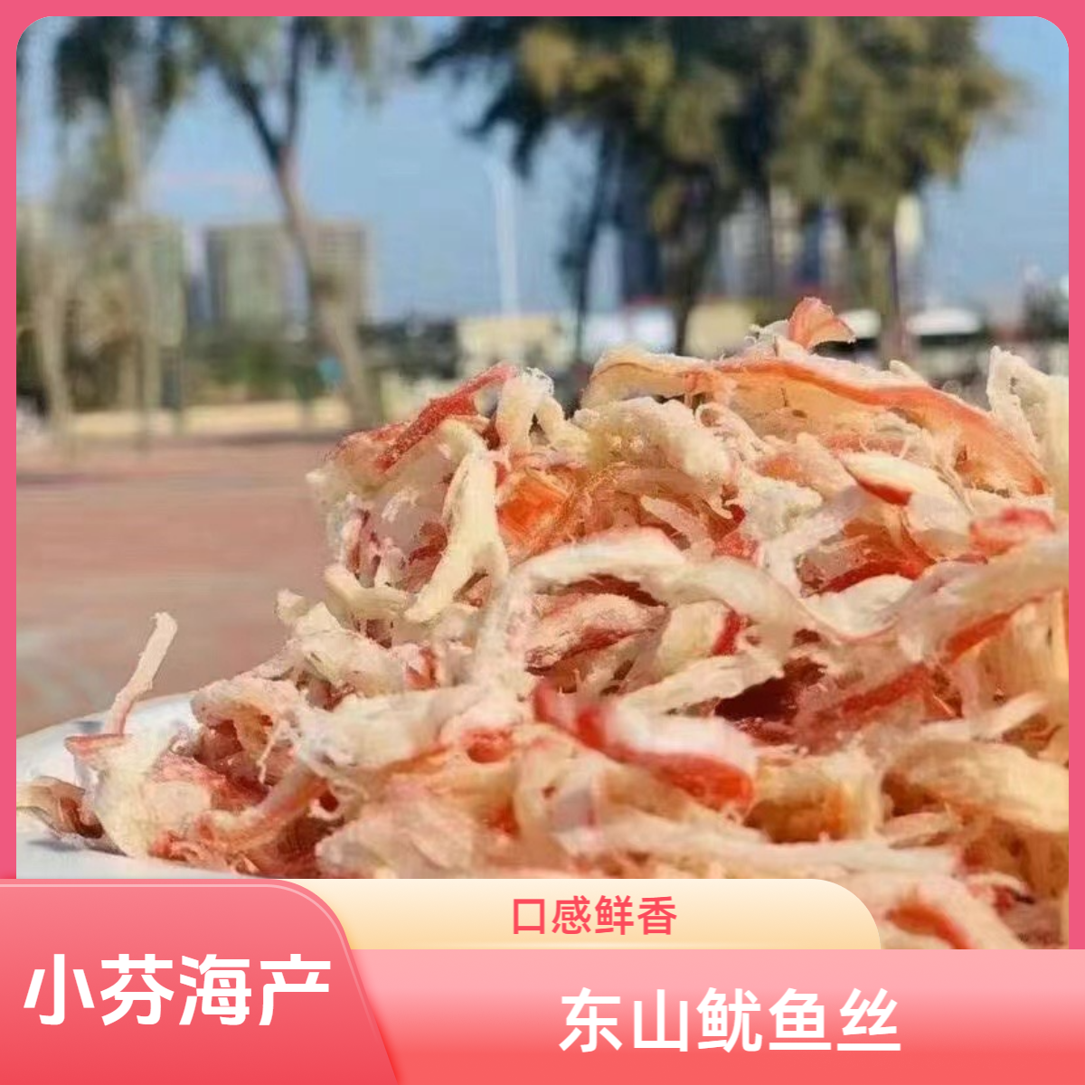 福建东山岛炭烤鱿鱼丝250g/包