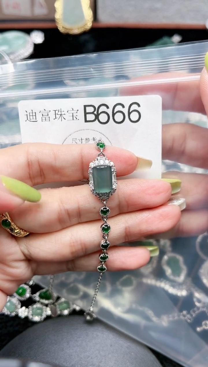 【闪购商品】翡翠颈饰未镶嵌赠皮绳666