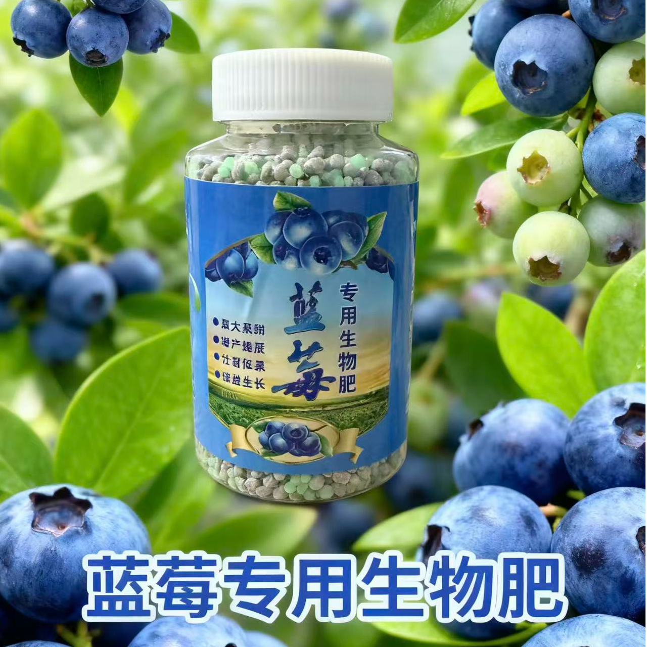 （蓝莓专用生物肥）蓝莓树果苗盆栽专用土颗粒肥料酸性硫酸钾复合肥