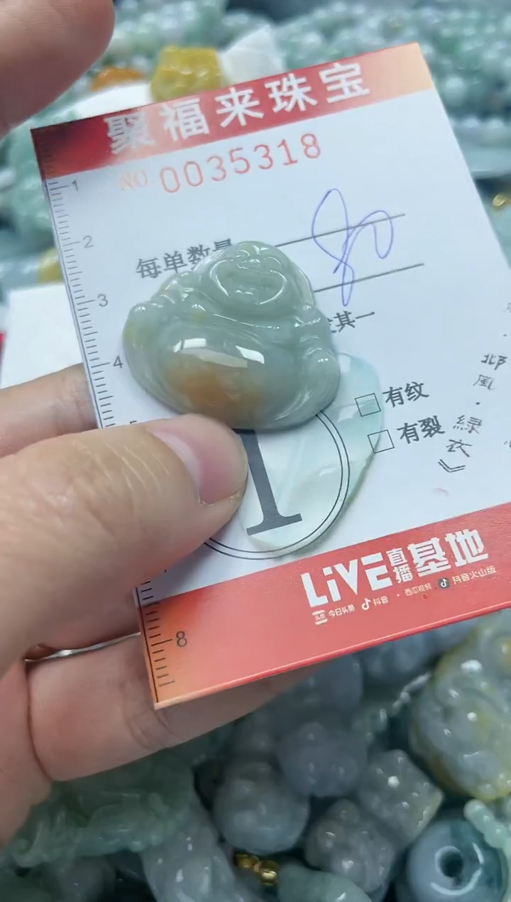 【闪购商品】翡翠颈饰未镶嵌闪购0035318
